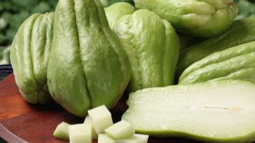 Is Chayote a starch?
