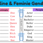 Is Espaguetis masculine or feminine?