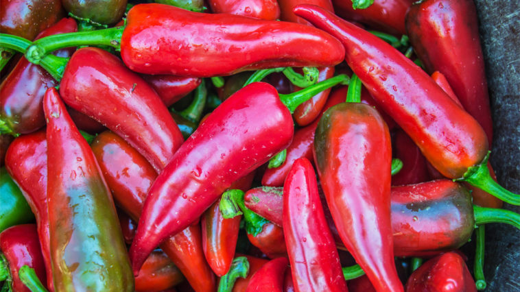 Is Espelette pepper the same as Aleppo pepper?