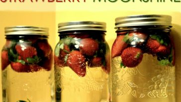 Is Everclear moonshine?