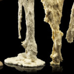 Is Levain the same as sponge?