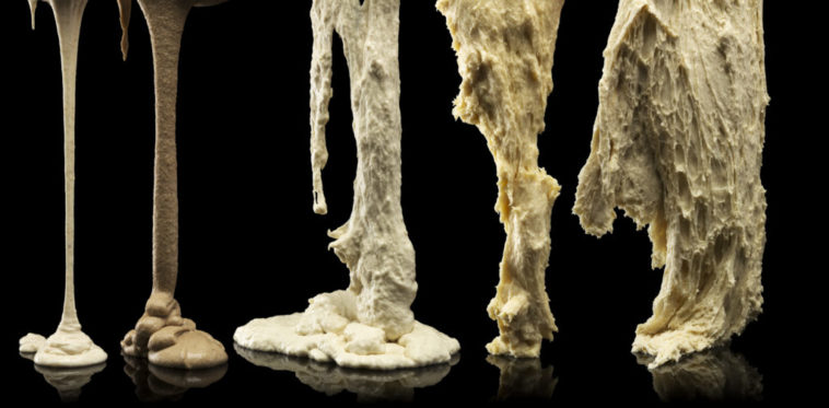 Is Levain the same as sponge?