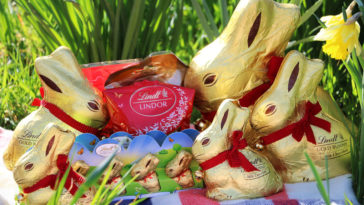 Is Lindt Gold bunny Hollow?