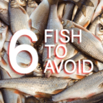 Is Pickerel high in mercury?