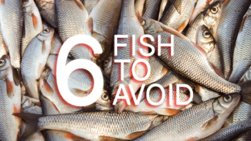 Is Pickerel high in mercury?