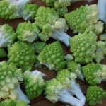 Is Romanesco a hybrid?