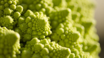 Is Romanesco better than broccoli?