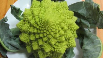 Is Romanesco broccoli good for you?
