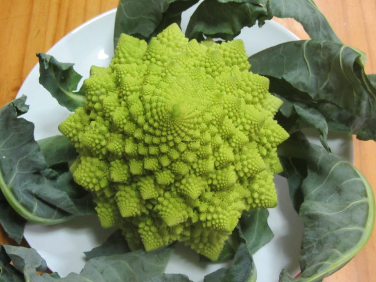 Is Romanesco broccoli good for you?