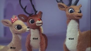 Is Rudolph a boy or girl?