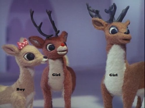 Is Rudolph a boy or girl?