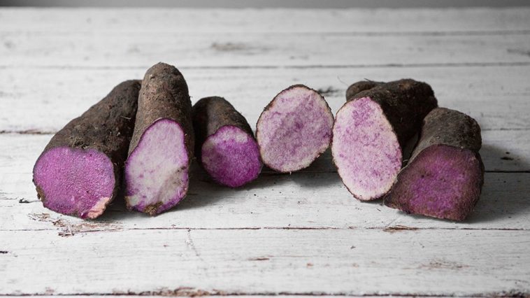 Is Taro the same as purple yam?