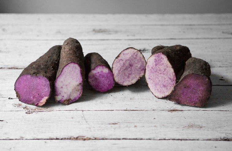 Is Taro the same as purple yam?