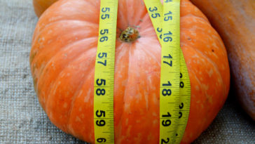Is a can of pumpkin measured by weight or volume?