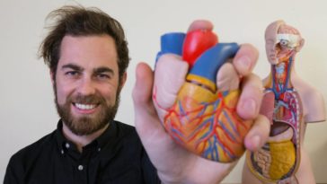 Is a heart condition a disability NZ?