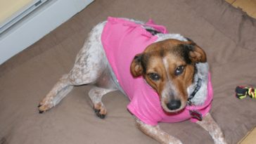 Is a little pink in sausage OK?