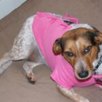 Is a little pink in sausage OK?