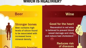 Is beer harmful for health?
