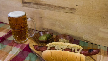 Is bison or venison better for dogs?