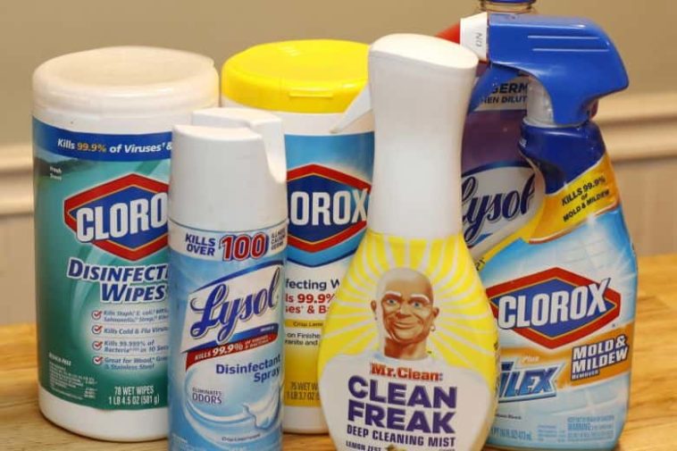 Is bleach a sanitizer or disinfectant?