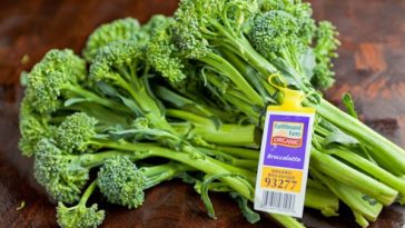 Is broccolini better for you than broccoli?