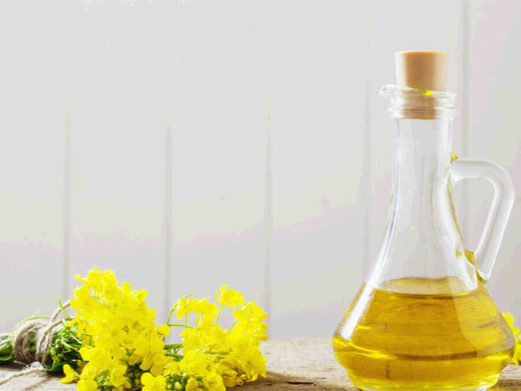 Is canola oil bad for your brain?