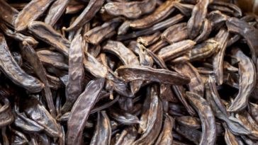 Is carob a laxative?