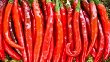 Is cayenne pepper the same as chilli powder?