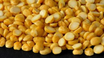 Is chana dal good for weight loss?