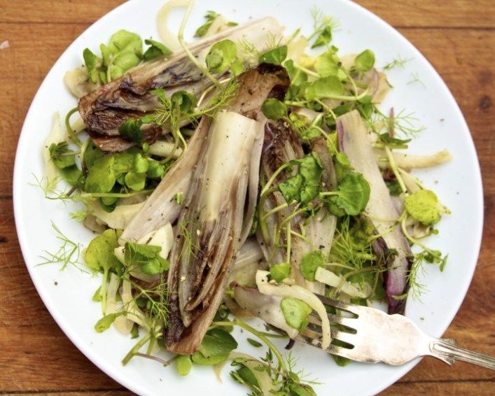 Is chicory anti-inflammatory?