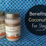 Is coconut oil good for hotspots on dogs?