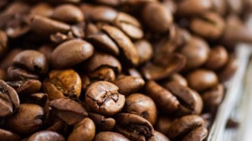 Is coffee high in polyphenols?