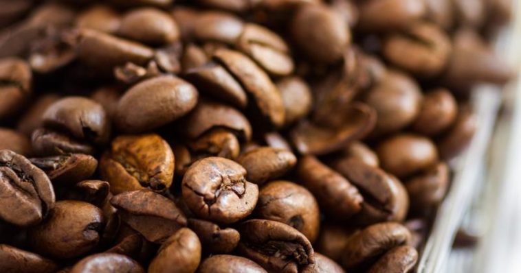 Is coffee high in polyphenols?