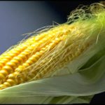 Is corn silk good for kidneys?