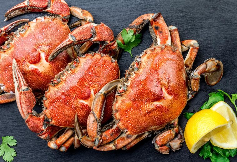 Is crab healthy to eat?