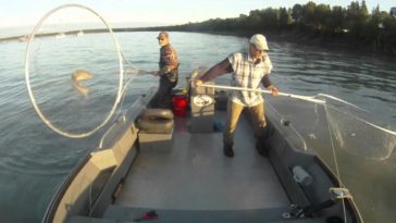 Is dip netting illegal?