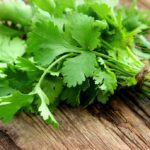 Is dried cilantro any good?