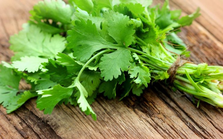 Is dried cilantro any good?