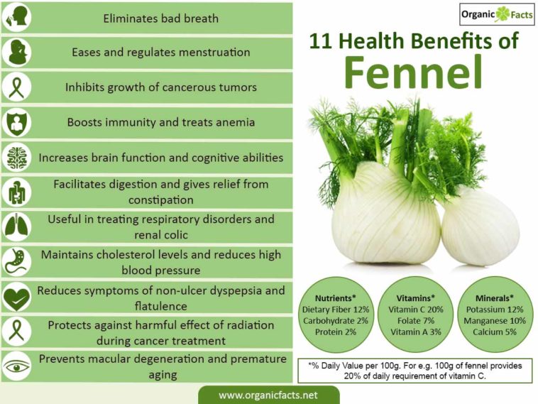 Is eating fennel good for you?