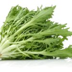 Is endive lettuce good for you?