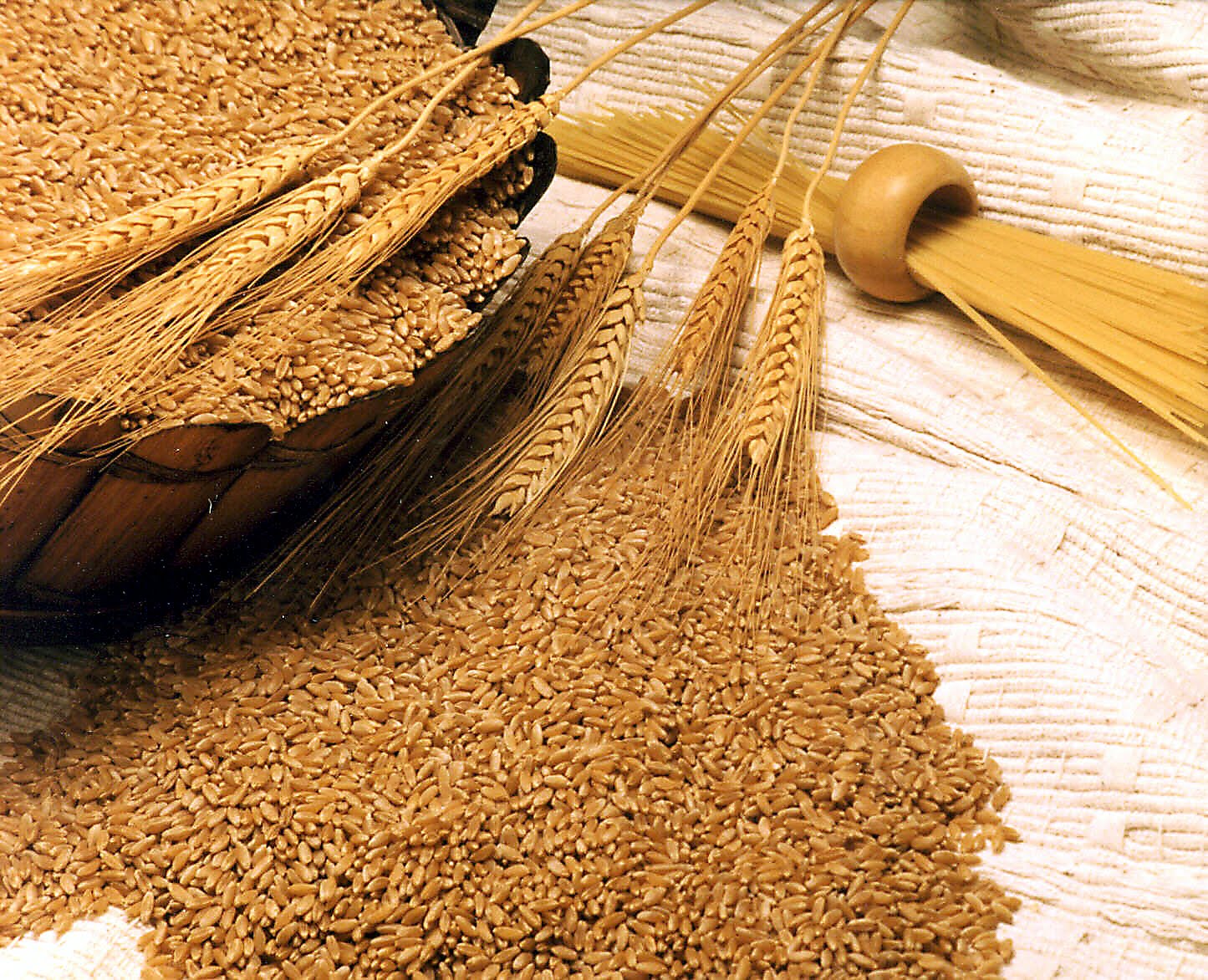 Is flaxseed or wheat germ better? - Foodly