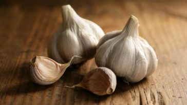 Is garlic a powder?