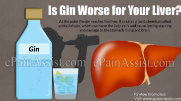 Is gin hard on your liver?