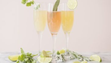 Is gin the healthiest alcohol?