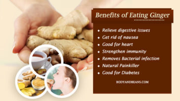 Is ginger brandy good for you?