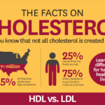 Is gizzard bad for cholesterol?