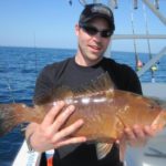 Is grouper a healthy fish?