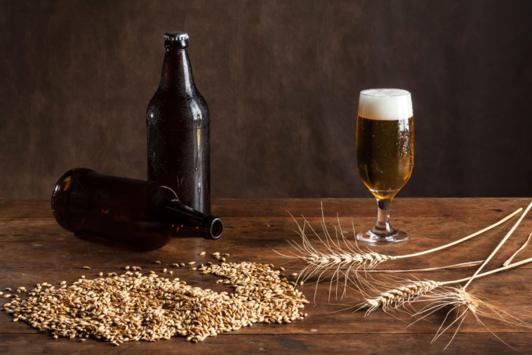 Is homemade beer cheap?