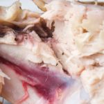 Is it OK for chicken to be a little pink?