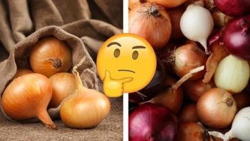 Is it OK to eat onions everyday?